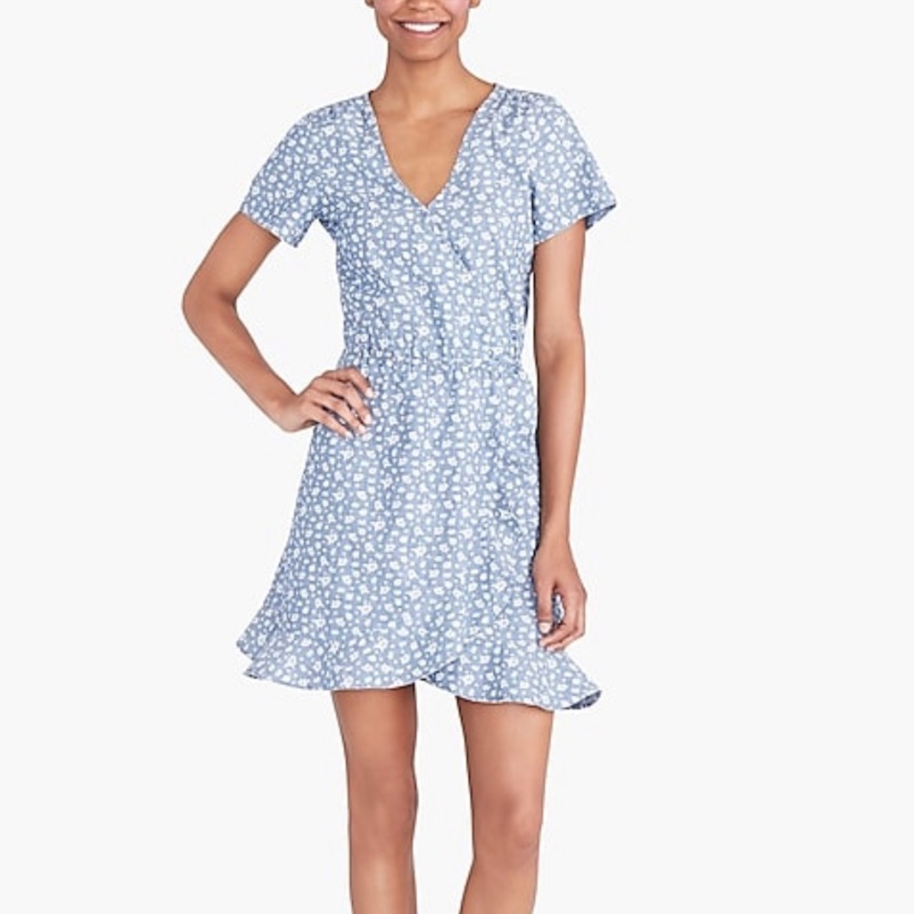 NWT J.Crew blue printed dress.